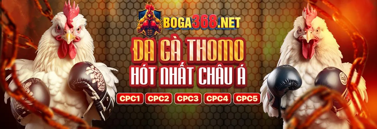 Tin tức 88mb, cập nhật mới nhất về cá cược trực tuyến
